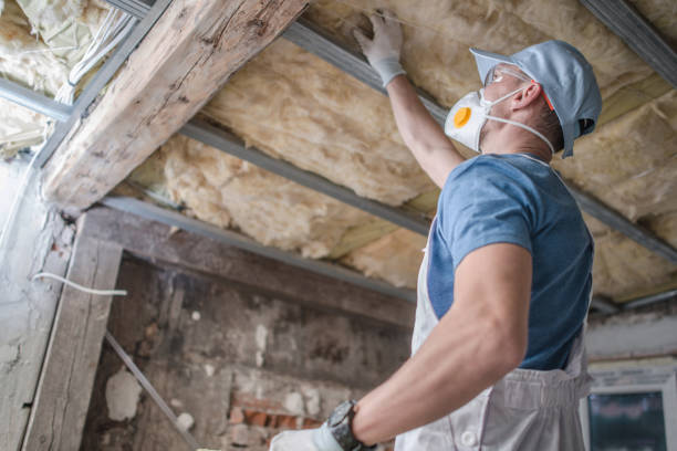 Best Residential Insulation in Schererville, IN